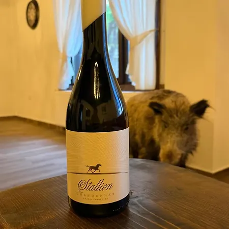 Vladimirov's House , цяла къща Holiday home Kovacevica