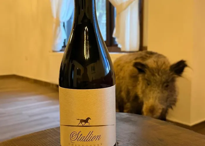 Vladimirov's House , цяла къща Holiday home Kovacevica